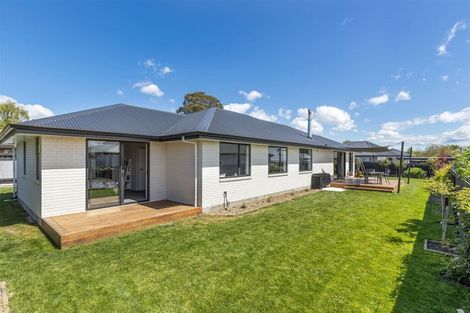 Photo of property in 84b Alma Street, Renwick, 7204