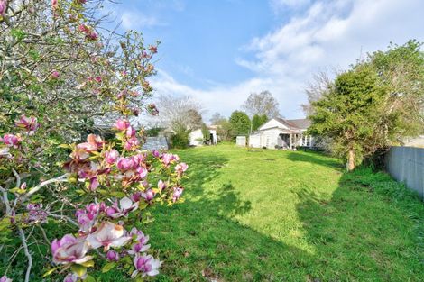 Photo of property in 6 Balaclava Street, Wyndham, 9831