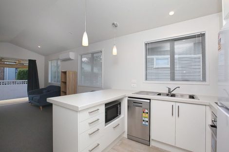 Photo of property in 129 Mahoe Street, Melville, Hamilton, 3206