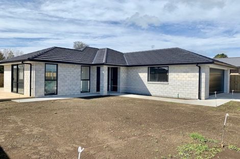 Photo of property in 14 Tangaroa Street, Waitara, 4320