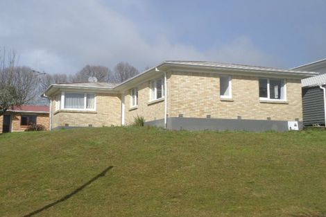 Photo of property in 105 Reservoir Street, Putaruru, 3411