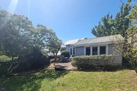 Photo of property in 64 First Avenue, Kingsland, Auckland, 1021