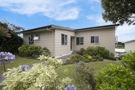 Photo of property in 63 Sea Vista Drive, Pukerua Bay, 5026