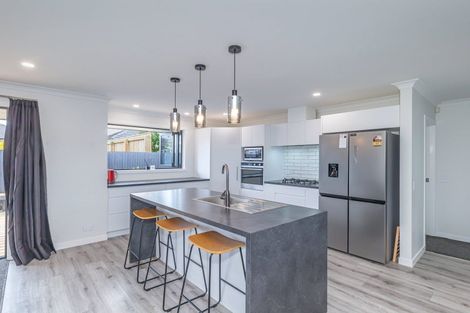 Photo of property in 202a Bath Street, Levin, 5510