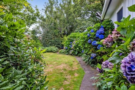 Photo of property in 170a Brooklands Road, Vogeltown, New Plymouth, 4310