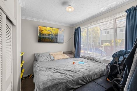 Photo of property in 60 Aldwins Road, Phillipstown, Christchurch, 8062