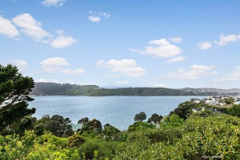 Photo of property in 157 Grafton Road, Roseneath, Wellington, 6011