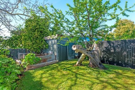 Photo of property in 59 Graham Road, Inner Kaiti, Gisborne, 4010