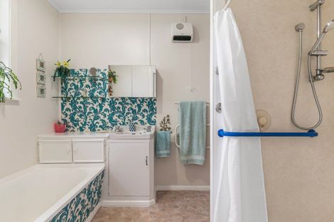 Photo of property in 40 Graham Street, Levin, 5510