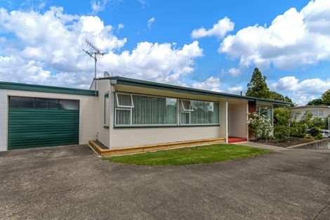 Photo of property in 48a Newcastle Street, Hokowhitu, Palmerston North, 4410