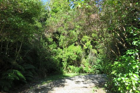 Photo of property in 304 Mokihinui Preserve, Seddonville, Westport, 7891