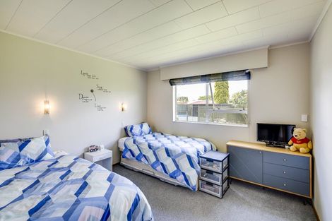 Photo of property in 911 Ebbett Street, Raureka, Hastings, 4120