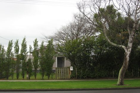 Photo of property in 106 Queen Street West, Levin, 5510