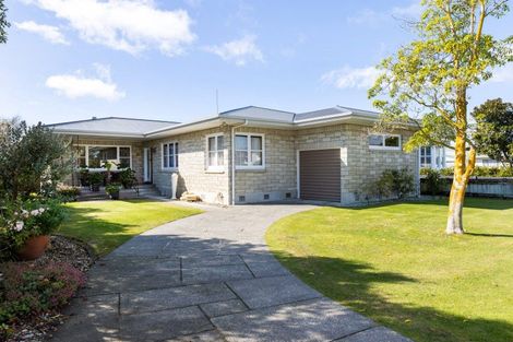 Photo of property in 49 Avenue Road, Greenmeadows, Napier, 4112