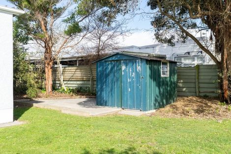 Photo of property in 3 Winchester Street, Levin, 5510