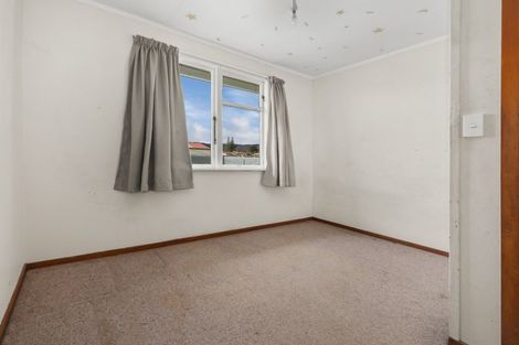 Photo of property in 47 Hinemoa Street, Levin, 5510