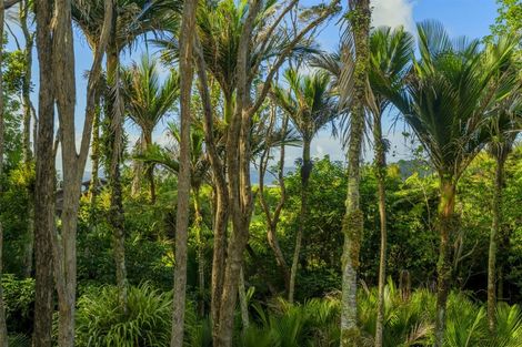 Photo of property in 68 Tarapatiki Drive, Whitianga, 3510