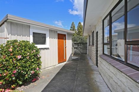 Photo of property in 613a Windsor Avenue, Parkvale, Hastings, 4122