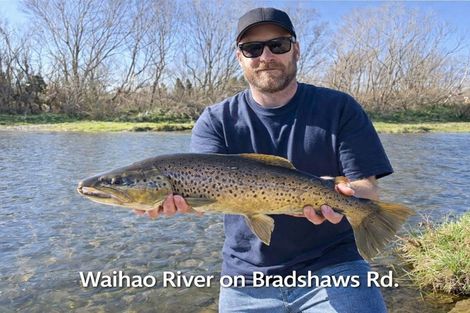 Photo of property in 132 Bradshaws Road, Waimate, 7980