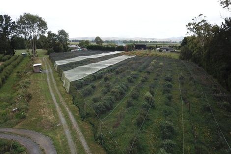 Photo of property in 549a Seddon Road, Gordonton, Hamilton, 3287