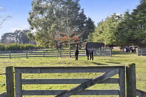 Photo of property in 790 Hills Road, Marshland, Christchurch, 8051