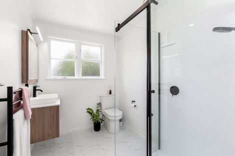 Photo of property in 82 Alfred Street, Fairfield, Hamilton, 3214