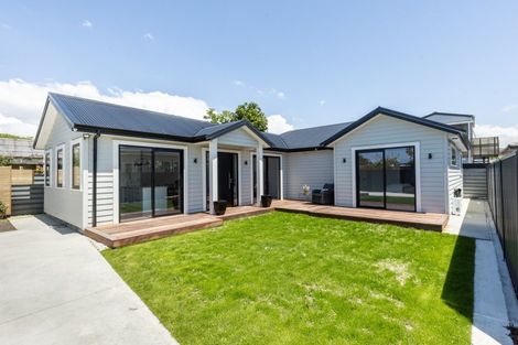 Photo of property in 913a Rimu Street, Mahora, Hastings, 4120