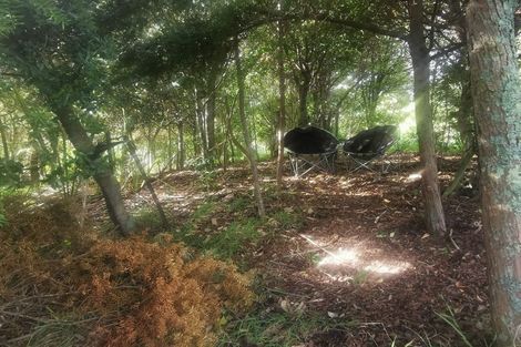 Photo of property in 16b Springfield Avenue, Ngarimu Bay, Thames, 3575