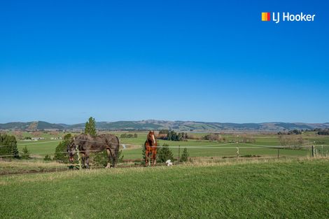 Photo of property in 796 Maungatua Road, Berwick, Outram, 9073