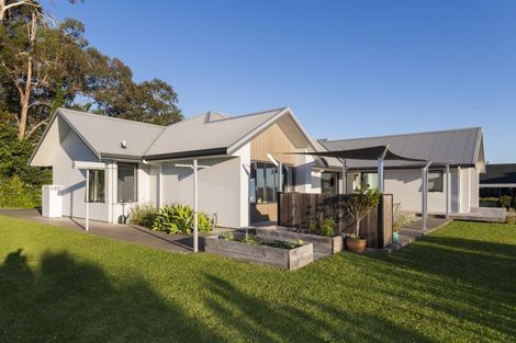 Photo of property in 32 Hillview Terrace, Mangapapa, Gisborne, 4010