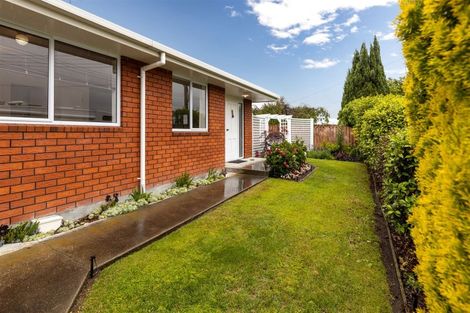 Photo of property in 176 Weld Street, Witherlea, Blenheim, 7201