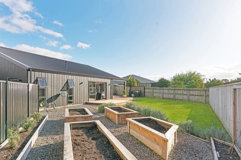 Photo of property in 12 Plum Tree Lane, Solway, Masterton, 5810