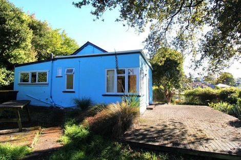 Photo of property in 50 Carson Street, Mornington, Dunedin, 9011