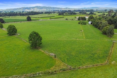 Photo of property in 728 Horrell Road, Morrinsville, 3374