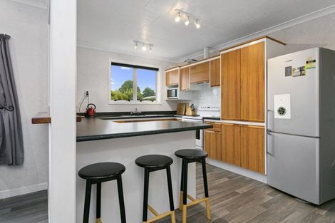 Photo of property in 113 Buckland Street, Putaruru, 3411