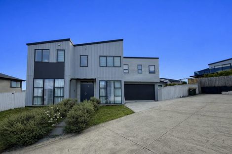 Photo of property in 21 Meadowridge Drive, Flat Bush, Auckland, 2019
