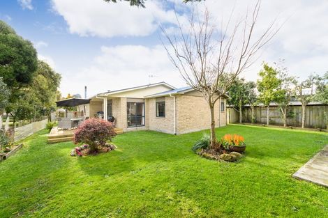 Photo of property in 121 Wyndham Street, Ashhurst, 4810