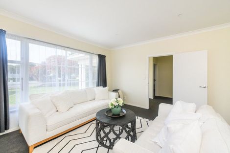 Photo of property in 175 College Street, Awapuni, Palmerston North, 4412