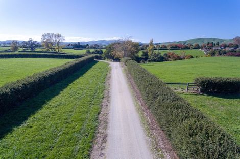 Photo of property in 342 Grice Road, Rotoorangi, Cambridge, 3495