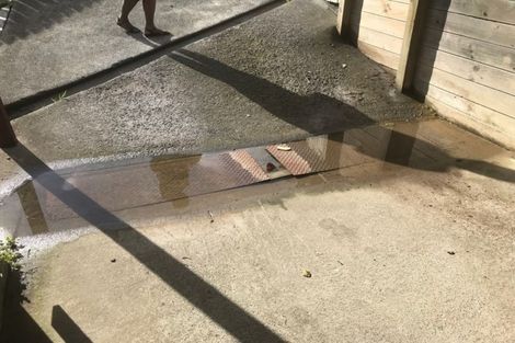 Photo of property in 1/13 Exeter Place, Unsworth Heights, Auckland, 0632