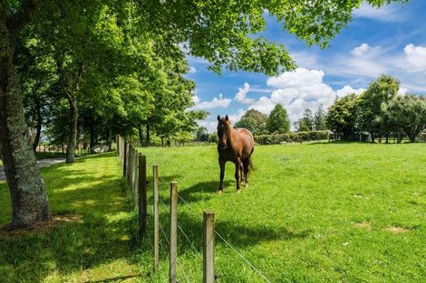 Photo of property in 718 Oruanui Road, Oruanui, Taupo, 3384