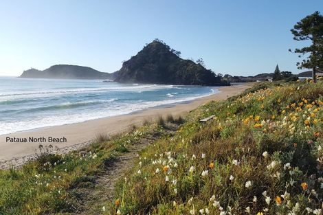 Photo of property in 906 Pataua South Road, Pataua South, Onerahi, 0192