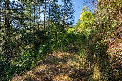 Photo of property in 1000 Wakamarina Road, Wakamarina, Havelock, 7178