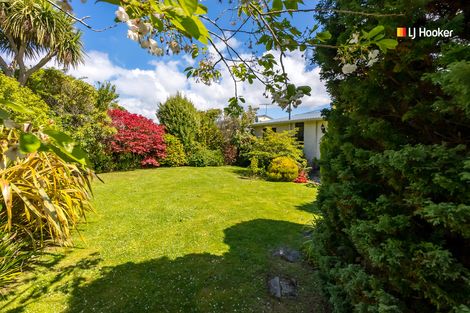 Photo of property in 6 Erskine Place, Saint Clair, Dunedin, 9012