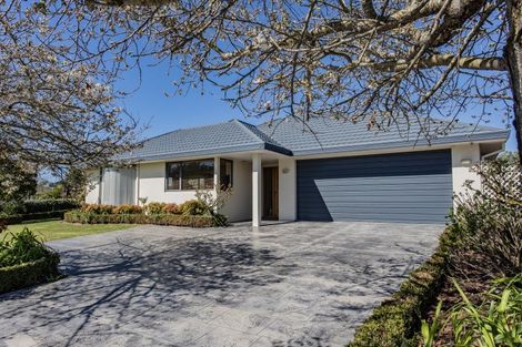 Photo of property in 45 Hewitts Road, Woodend, 7610