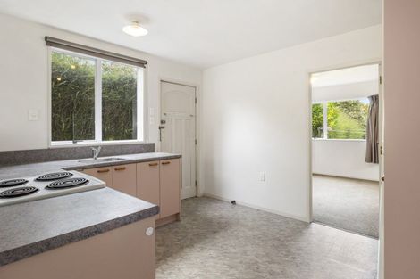 Photo of property in 24 Blacks Road, North East Valley, Dunedin, 9010