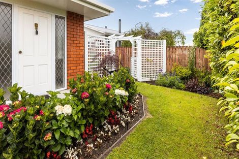 Photo of property in 176 Weld Street, Witherlea, Blenheim, 7201