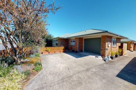 Photo of property in 20 Reeve Street, Levin, 5510