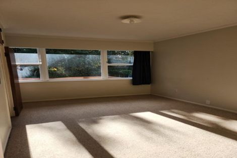Photo of property in 44 Taylor Terrace, St Andrews, Hamilton, 3200