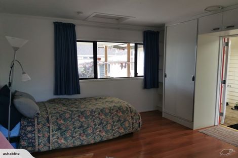 Photo of property in 41 Cook Street, Gate Pa, Tauranga, 3112